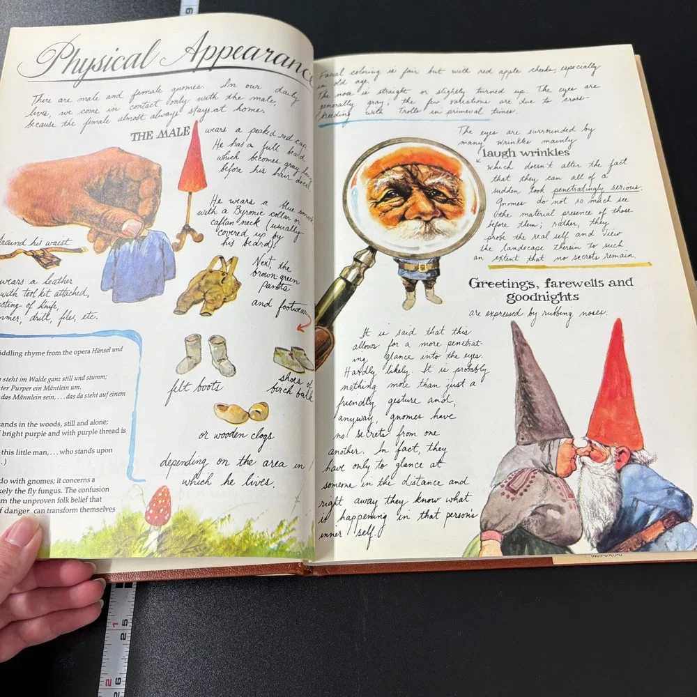 Abrams harry gnomes